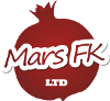 Автоматизация бухгалтерского учета в компании «Mars FK»